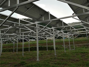 The magical solar farm mounting systems gives green plants a superior growth environment