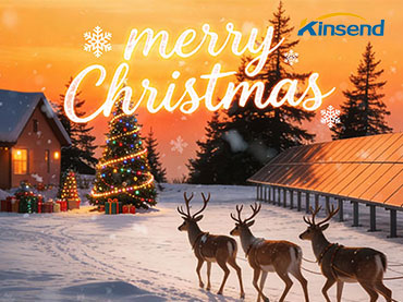 Wishing you merry Christmas and a happy New Year! 